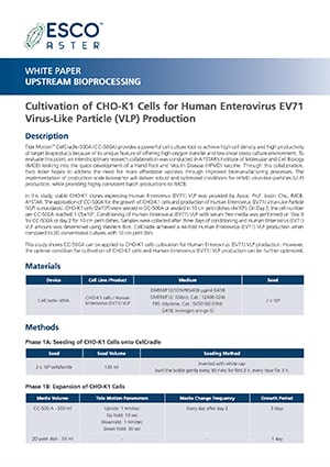 Cultivation of CHO-K1 Cells for Human Enterovirus EV71 Virus-Like Particle (VLP) Production - EN